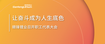 MK官网锂业召开职工代表大会 坚持向奋斗者倾斜更多资源