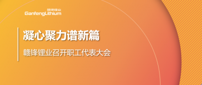 凝心聚力谱新篇 MK官网锂业第五届职工代表大会顺利召开